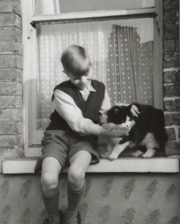 David Bowie as a child sitting on his windowsil with a cat.